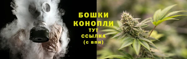 прущие грибы Балабаново