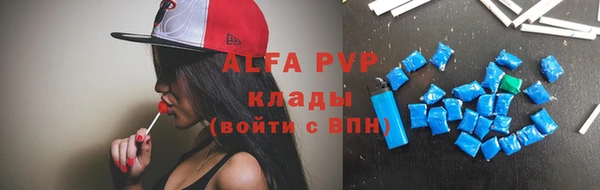 прущие грибы Балабаново